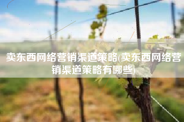卖东西网络营销渠道策略(卖东西网络营销渠道策略有哪些)