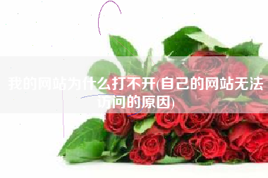 我的网站为什么打不开(自己的网站无法访问的原因)