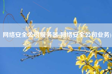网络安全公司服务器(网络安全公司业务)