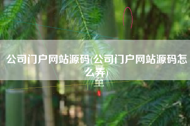 公司门户网站源码(公司门户网站源码怎么弄)