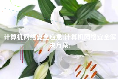 计算机网络安全应急(计算机网络安全解决方案)