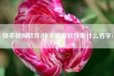 快手视频软件(快手视频软件叫什么名字)