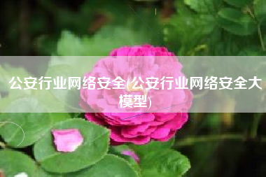 公安行业网络安全(公安行业网络安全大模型)