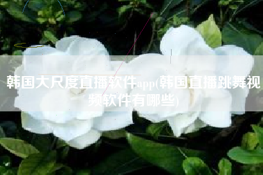 韩国大尺度直播软件app(韩国直播跳舞视频软件有哪些)