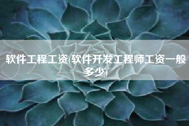 软件工程工资(软件开发工程师工资一般多少)