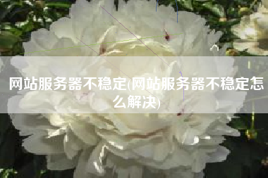 网站服务器不稳定(网站服务器不稳定怎么解决)