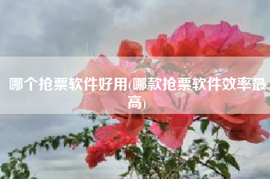 哪个抢票软件好用(哪款抢票软件效率最高)
