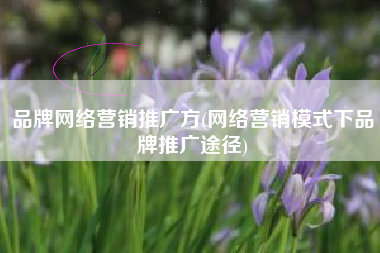 品牌网络营销推广方(网络营销模式下品牌推广途径)