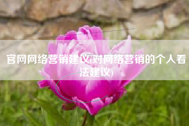 官网网络营销建议(对网络营销的个人看法建议)