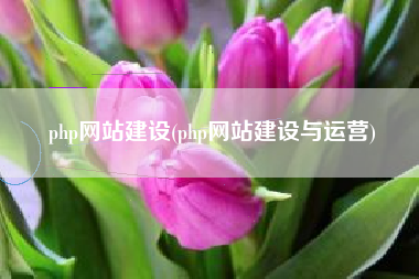 php网站建设(php网站建设与运营)