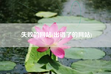 失败的网站(出错了的网站)