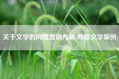 关于文学的网络营销方案(网络文学案例)