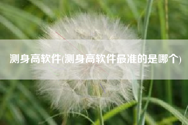 测身高软件(测身高软件最准的是哪个)