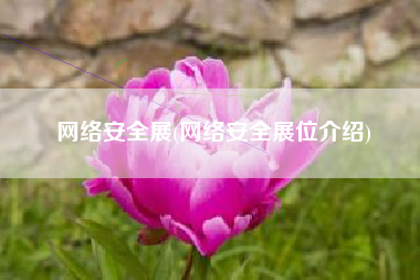 网络安全展(网络安全展位介绍)