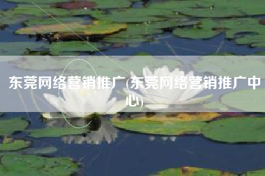 东莞网络营销推广(东莞网络营销推广中心)