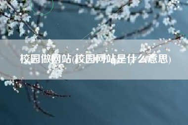 校园做网站(校园网站是什么意思)