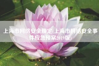 上海市网络安全规定(上海市网络安全事件应急预案2019版)