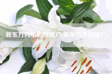 新东方网络营销推广(新东方市场推广)