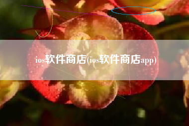 ios软件商店(ios软件商店app)