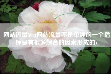 网站流量50g(网站流量不是单纯的一个指标是有很多综合的因素形成的)