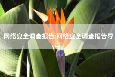 网络安全调查报告(网络安全调查报告导言)