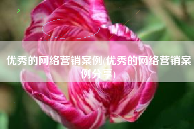 优秀的网络营销案例(优秀的网络营销案例分享)