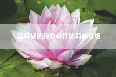 最权威的跑分软件的简单介绍