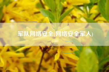 军队网络安全(网络安全军人)