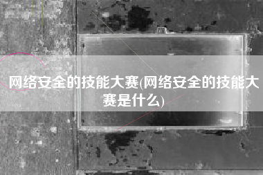 网络安全的技能大赛(网络安全的技能大赛是什么)