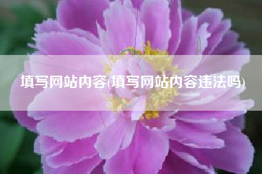 填写网站内容(填写网站内容违法吗)