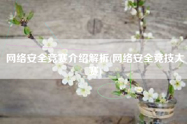网络安全竞赛介绍解析(网络安全竞技大赛)