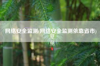 网络安全监测(网络安全监测依靠省市)