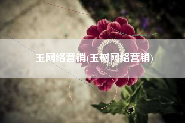 玉网络营销(玉树网络营销)