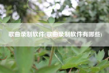 歌曲录制软件(歌曲录制软件有哪些)