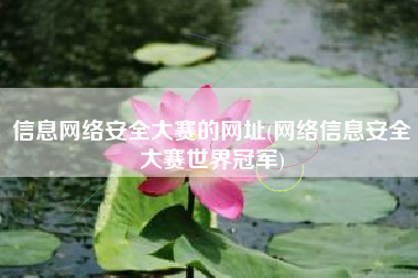 信息网络安全大赛的网址(网络信息安全大赛世界冠军)
