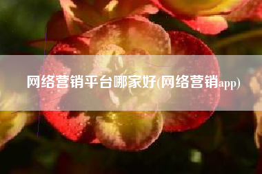 网络营销平台哪家好(网络营销app)