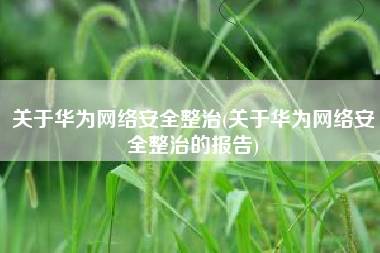关于华为网络安全整治(关于华为网络安全整治的报告)