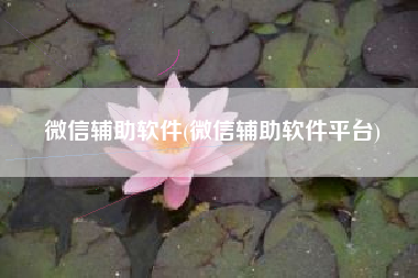 微信辅助软件(微信辅助软件平台)