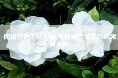 网络营销工具的案例(网络营销工具的案例分析)