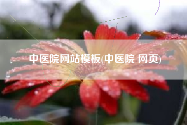 中医院网站模板(中医院 网页)