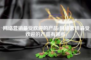 网络营销最受欢迎的产品(网络营销最受欢迎的产品有哪些)