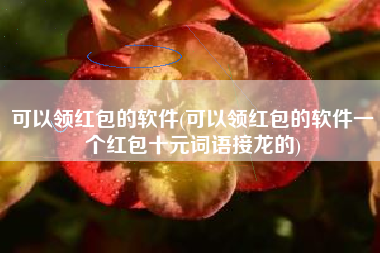 可以领红包的软件(可以领红包的软件一个红包十元词语接龙的)