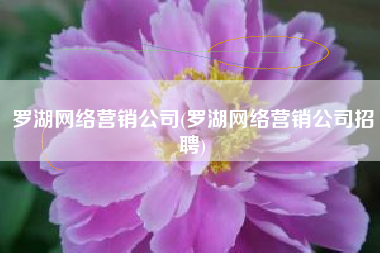罗湖网络营销公司(罗湖网络营销公司招聘)