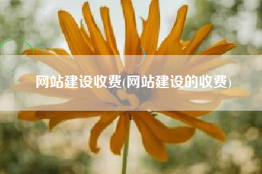 网站建设收费(网站建设的收费)