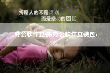 办公软件安装(办公软件安装包)