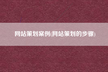 网站策划案例(网站策划的步骤)