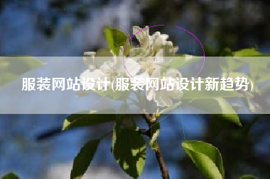 服装网站设计(服装网站设计新趋势)