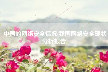 中国的网络安全情况(我国网络安全现状分析报告)