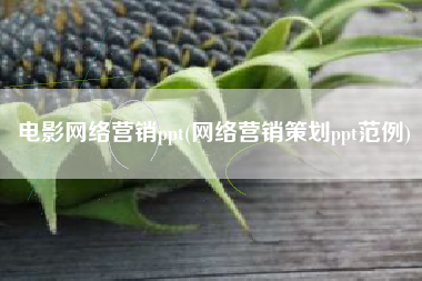 电影网络营销ppt(网络营销策划ppt范例)