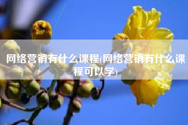 网络营销有什么课程(网络营销有什么课程可以学)